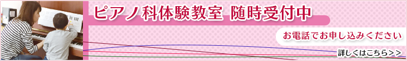 演奏科体験レッスン随時受付中